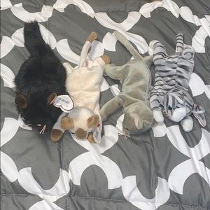 4 Cat Beanie Babies
